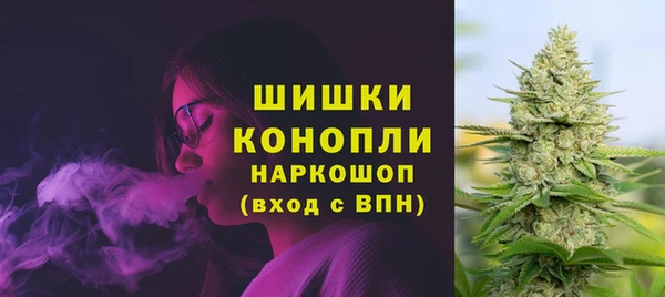 МДПВ Арсеньев